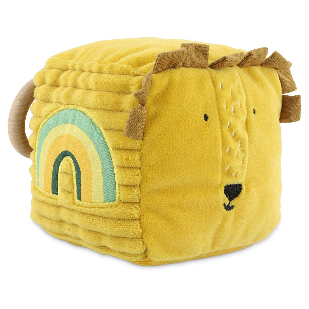 Activity cube - Mr. Lion