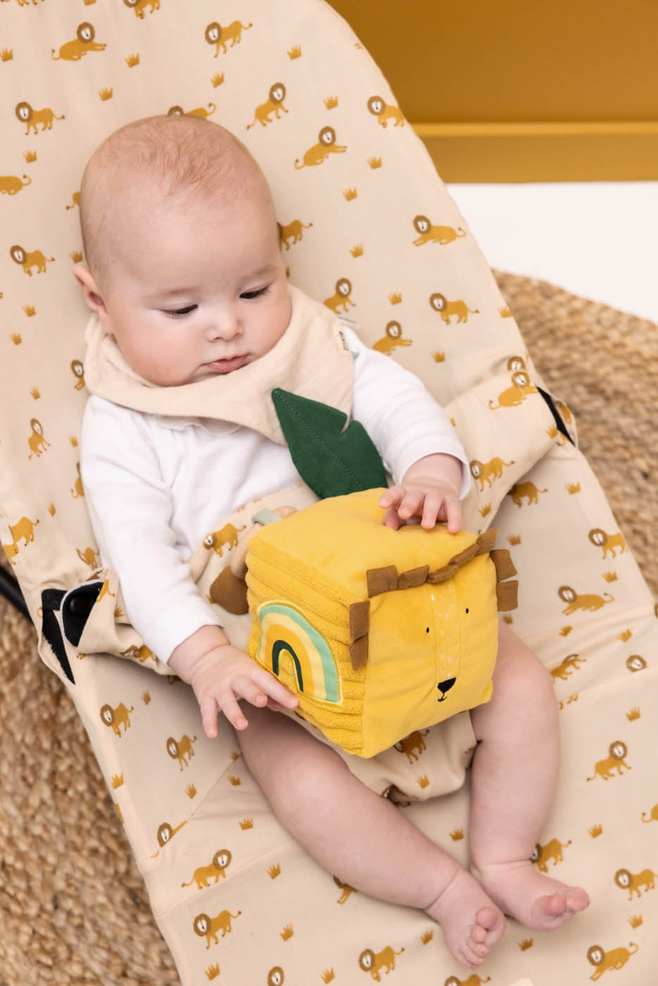 Trixie Activity cube - Mr. Lion