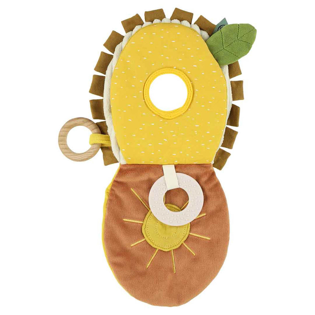Sensory book - Mr. Lion