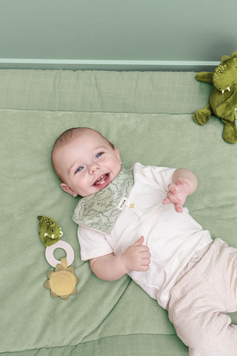 Trixie Teething toy - Mr. Dino