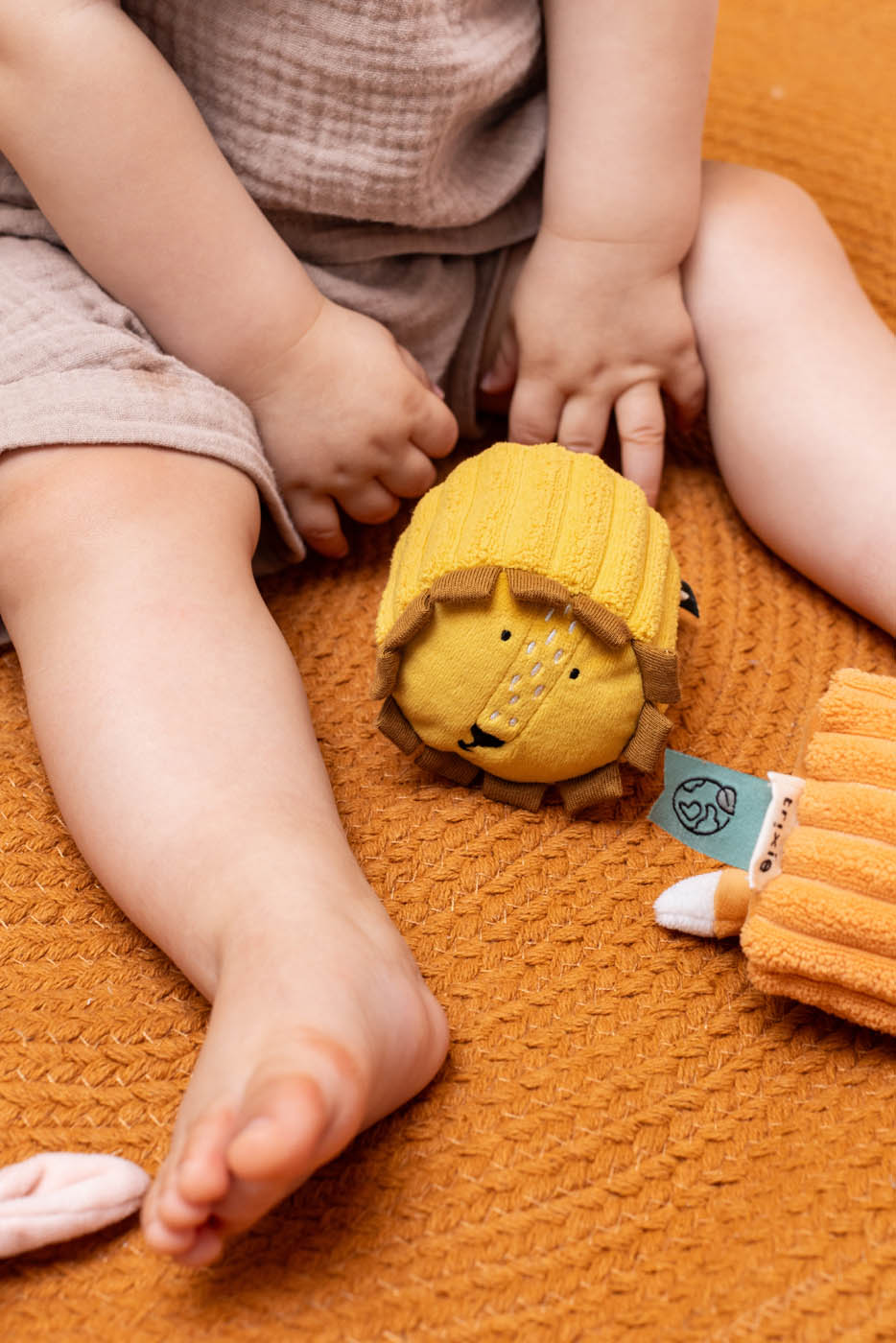 Trixie Sensory blocks - 4 animals