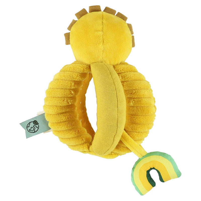 Grabbing ball - Mr. Lion