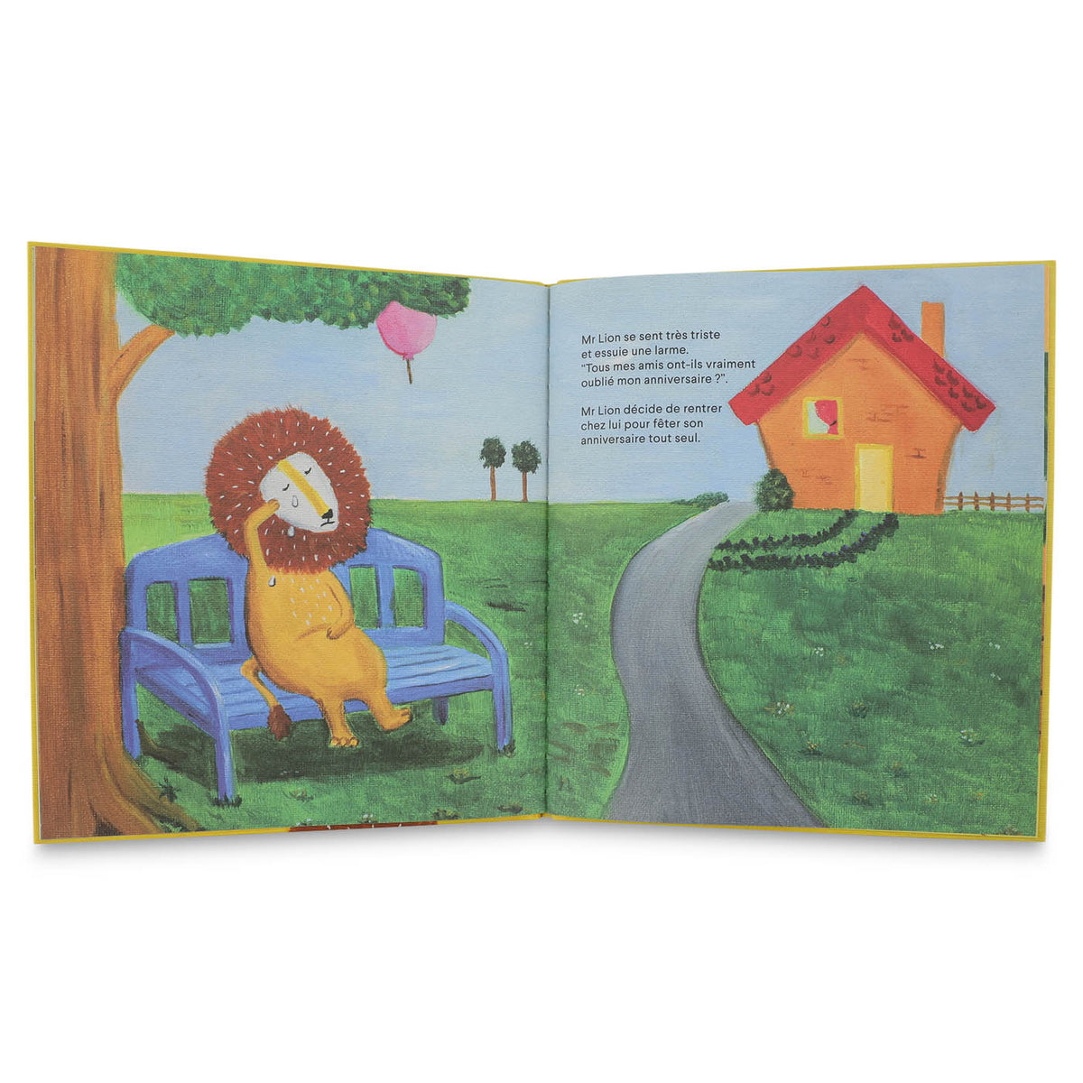 STORYBOOK - CELEBRATING LION'S BIRTHDAY FR