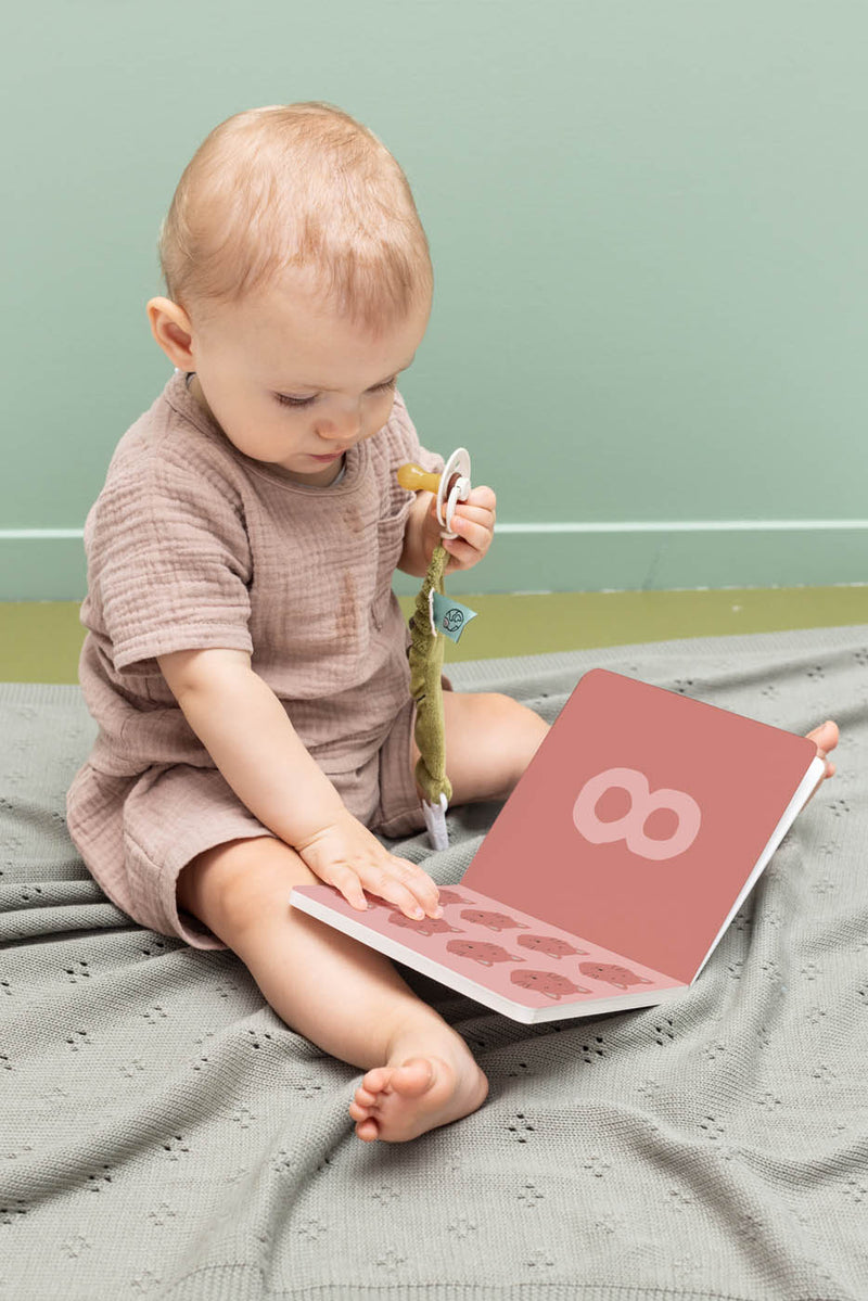 Trixie Counting book