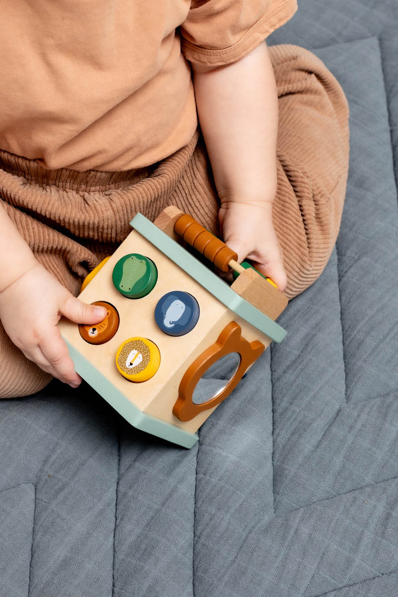 Trixie Wooden small activity cube