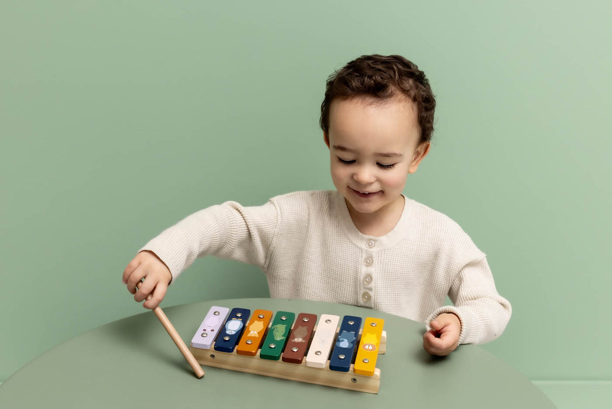 Trixie Wooden xylophone
