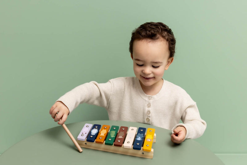 Trixie Wooden xylophone