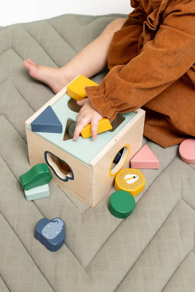 Trixie Wooden shape sorter