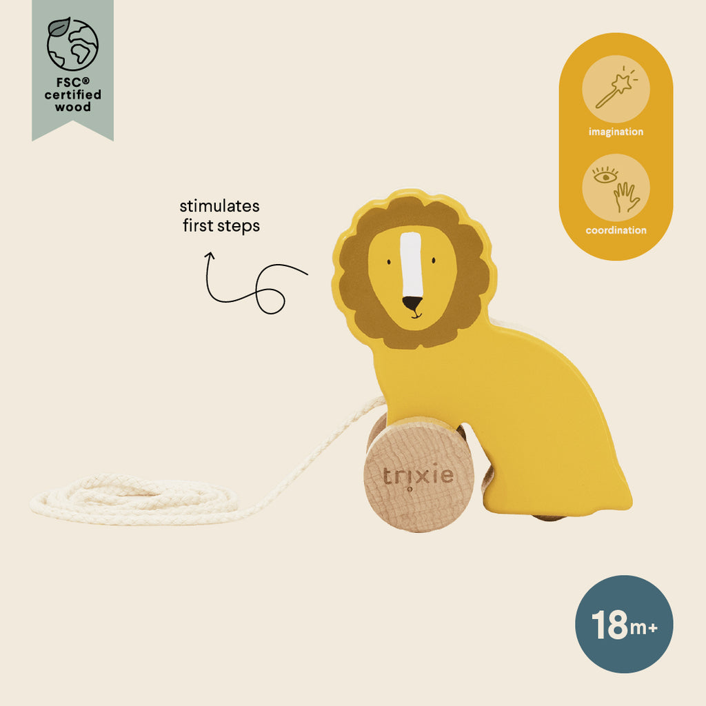Wooden small pull along toy - Mr. Lion - FSC 100%