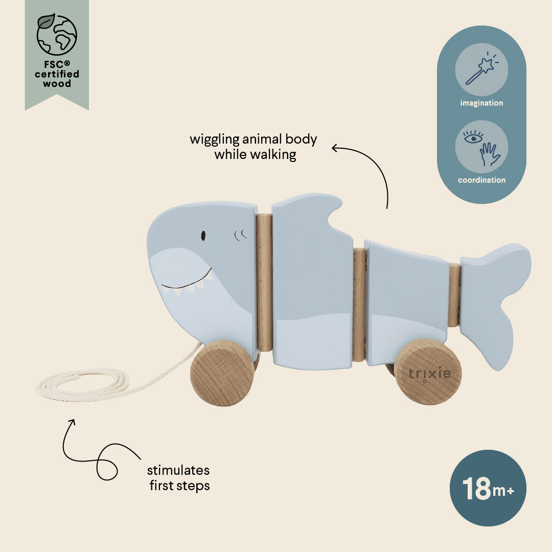 Wackel-Nachziehtier aus Holz - Mr. Shark