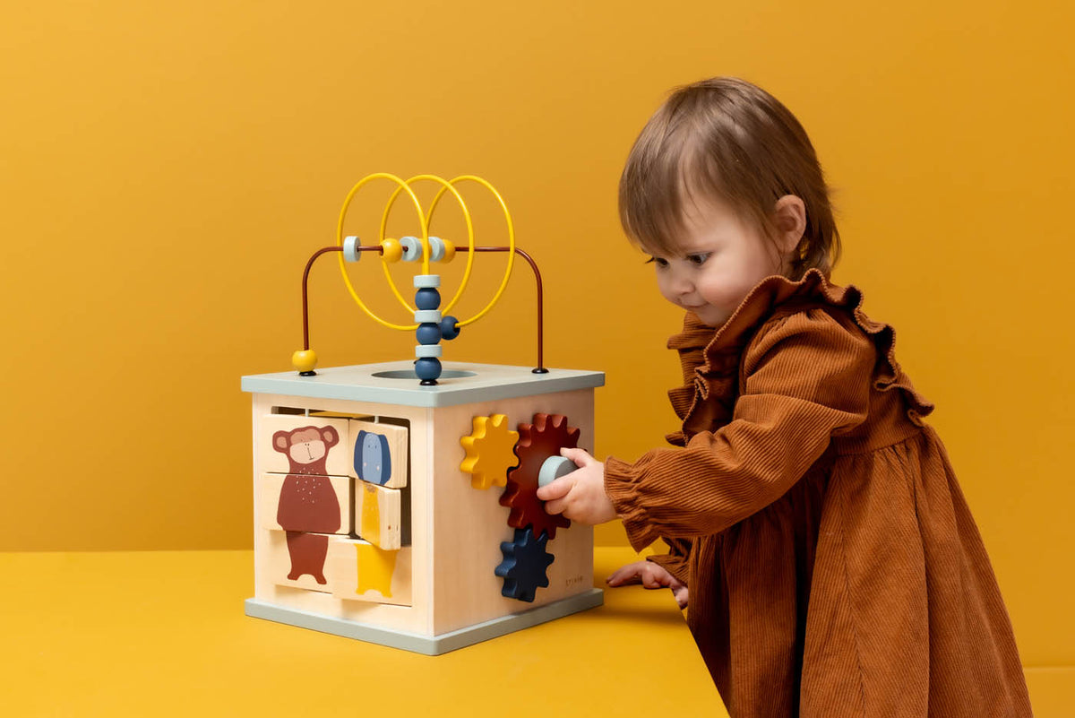 Trixie Wooden 5-in-1 activity cube