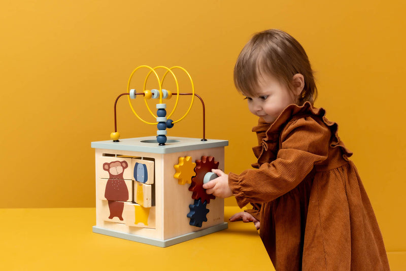 Trixie Wooden 5-in-1 activity cube