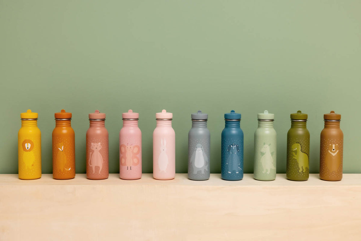 Trixie Bottle 500ml - Mr. Triceratops