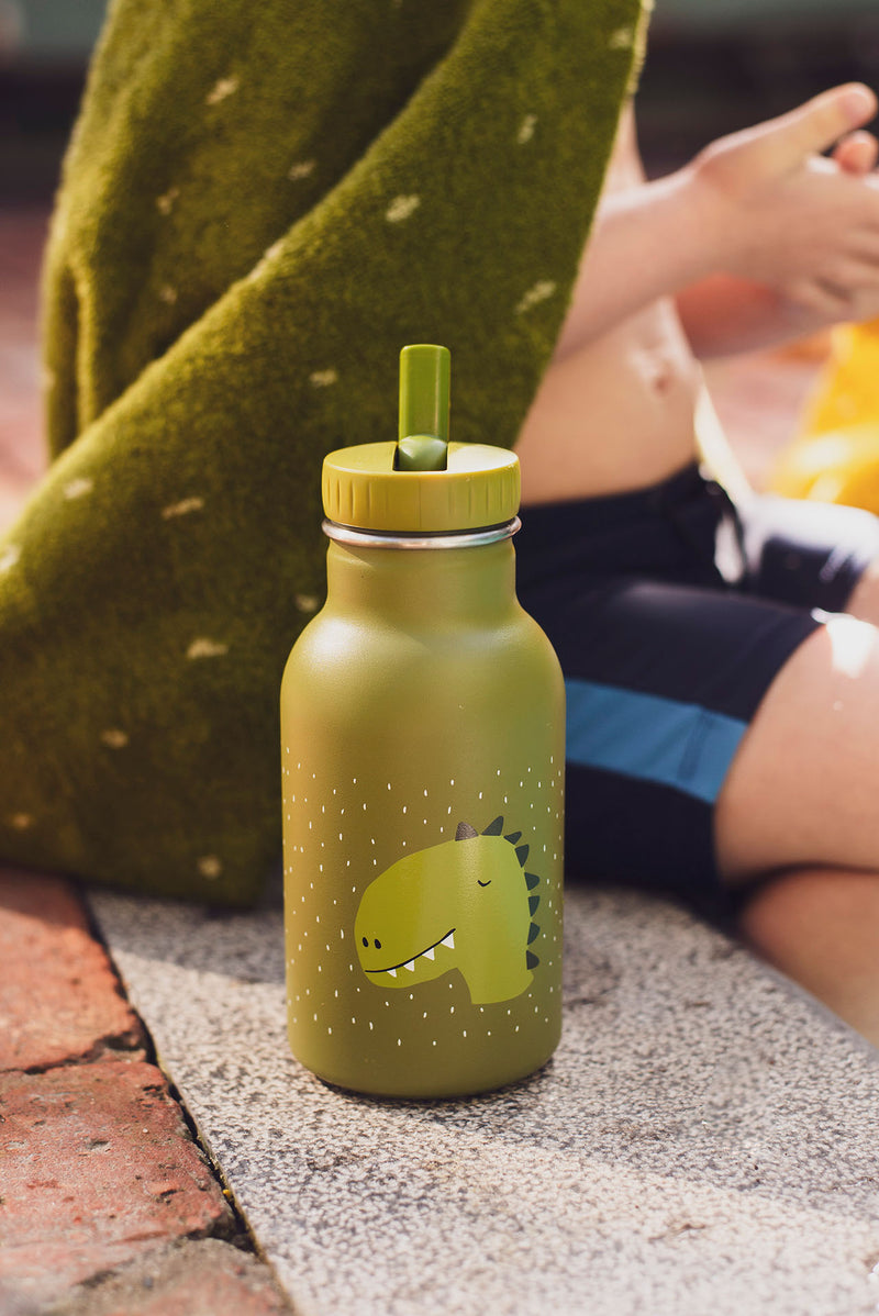 Trixie Insulated drinking bottle 350ml - Mr. Dino
