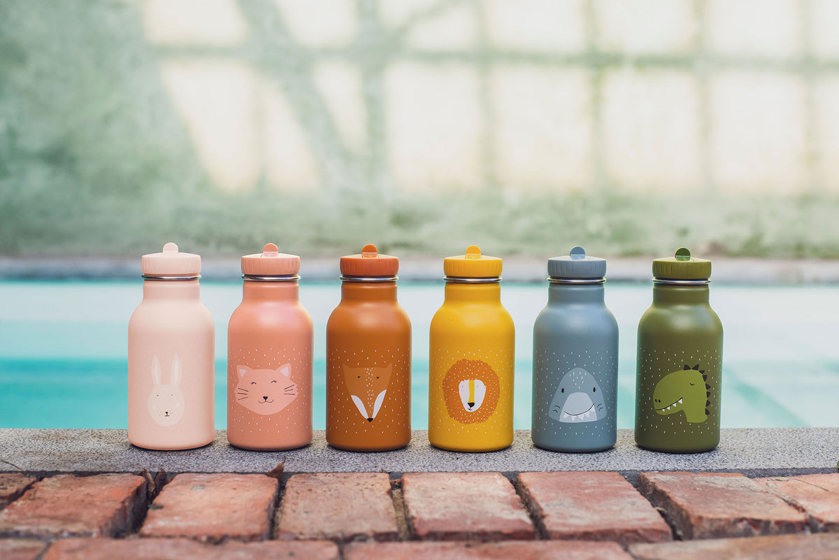 Trixie Insulated drinking bottle 350ml - Mr. Shark