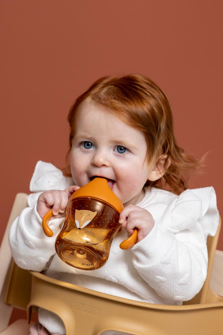 Trixie Sippy cup with handles - Mr. Fox