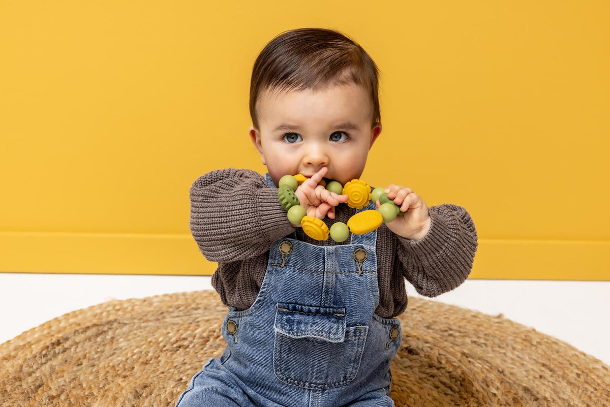 Silicone teething ring - Mr. Dino & Mr. Lion
