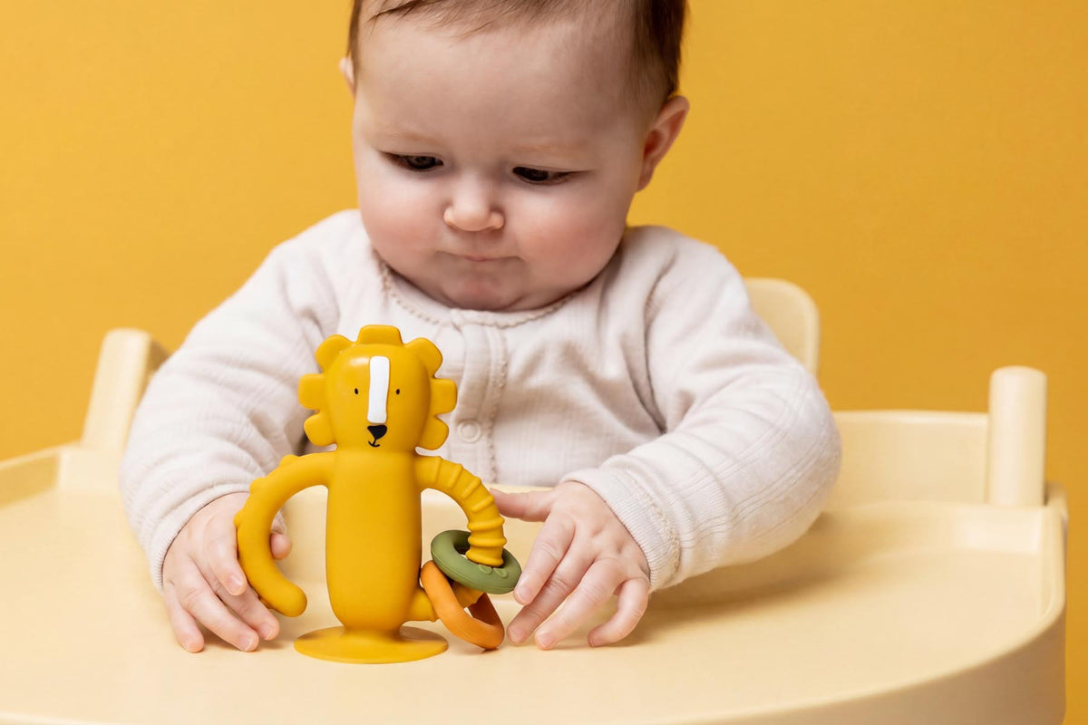 Silicone sensory suction toy - Mr. Lion