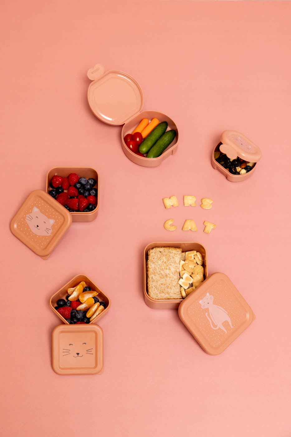 Trixie snack boxes Mrs. Cat