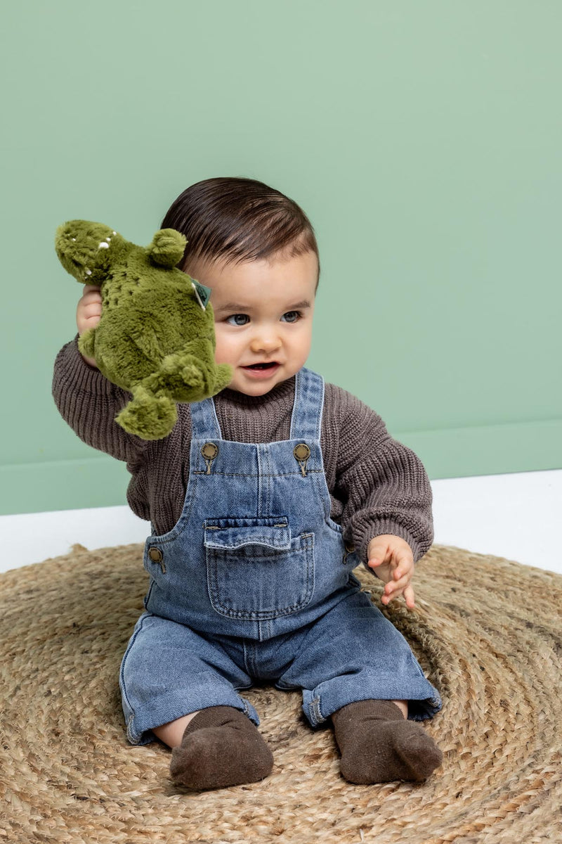 Plush animal | Baby - Mr. Dino