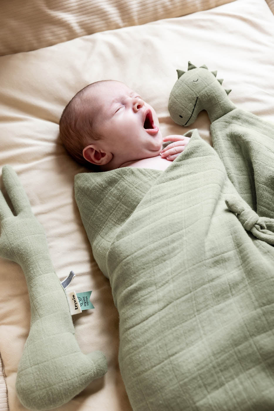 Trixie bedtime essentials Mr. Dino muslin cloth