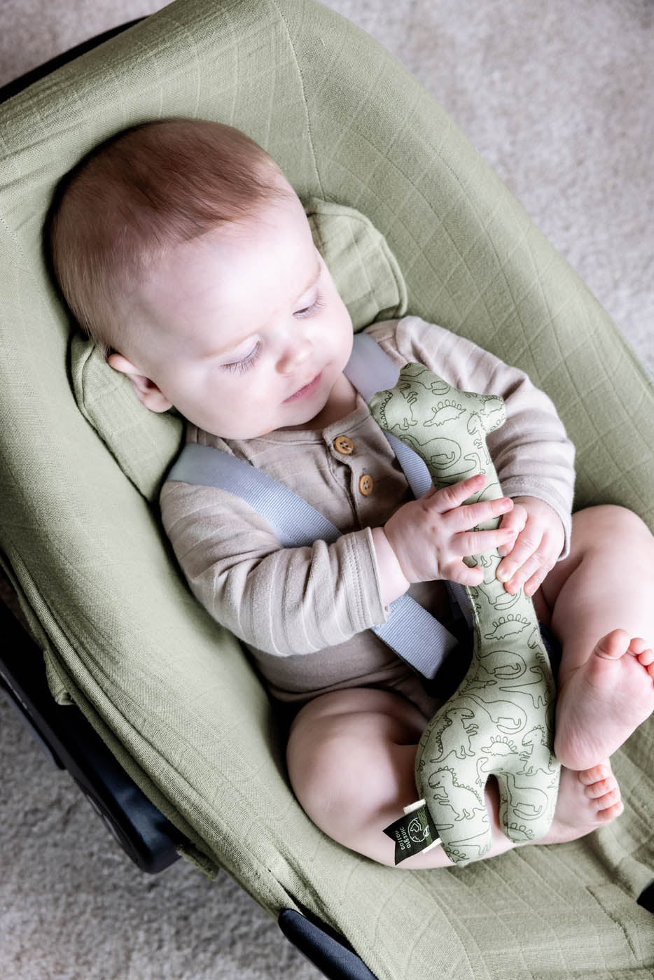 Trixie car seat cover Mr. Dino