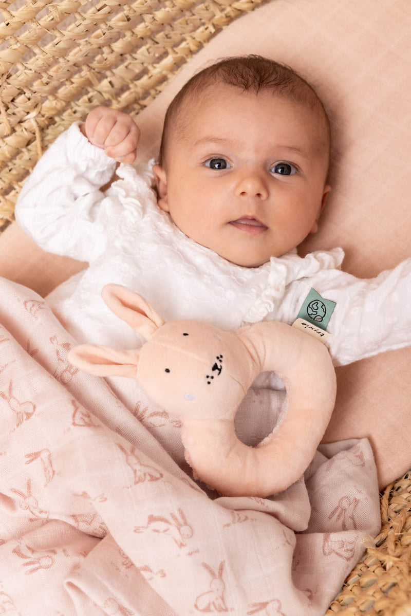Trixie bedtime Mrs. Rabbit rattle