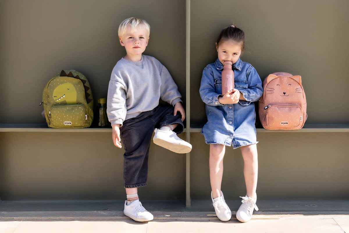 Backpack - Mr. Dino