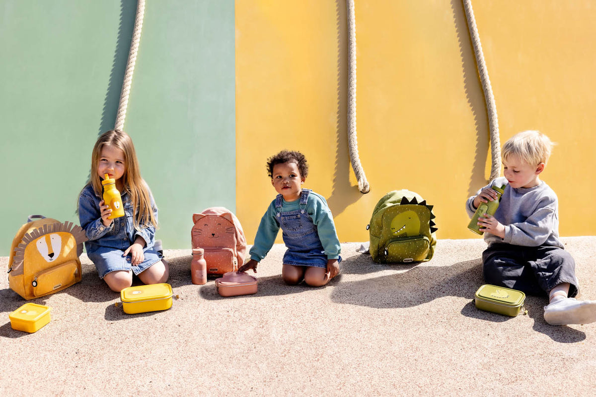 Trixie school sets 