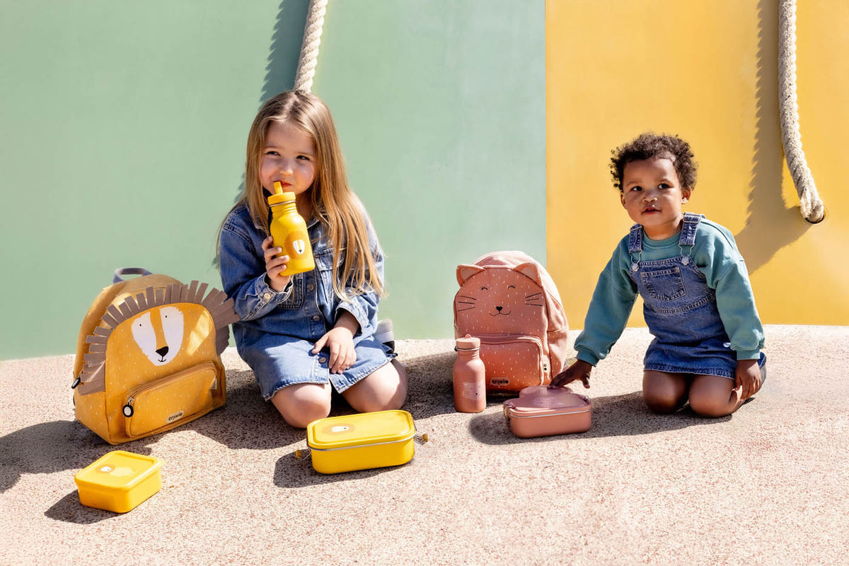 Trixie school set Mr. Lion and Mrs. Cat