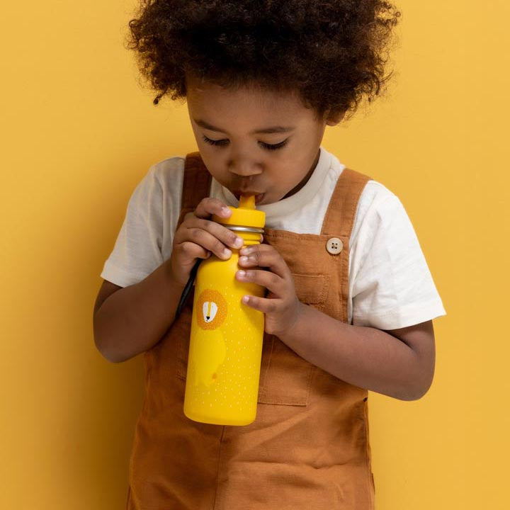 Trixie bottle 500ml Mr. Lion