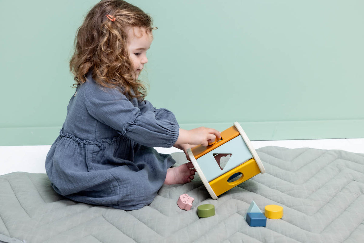 Trixie Rolling Shape sorter