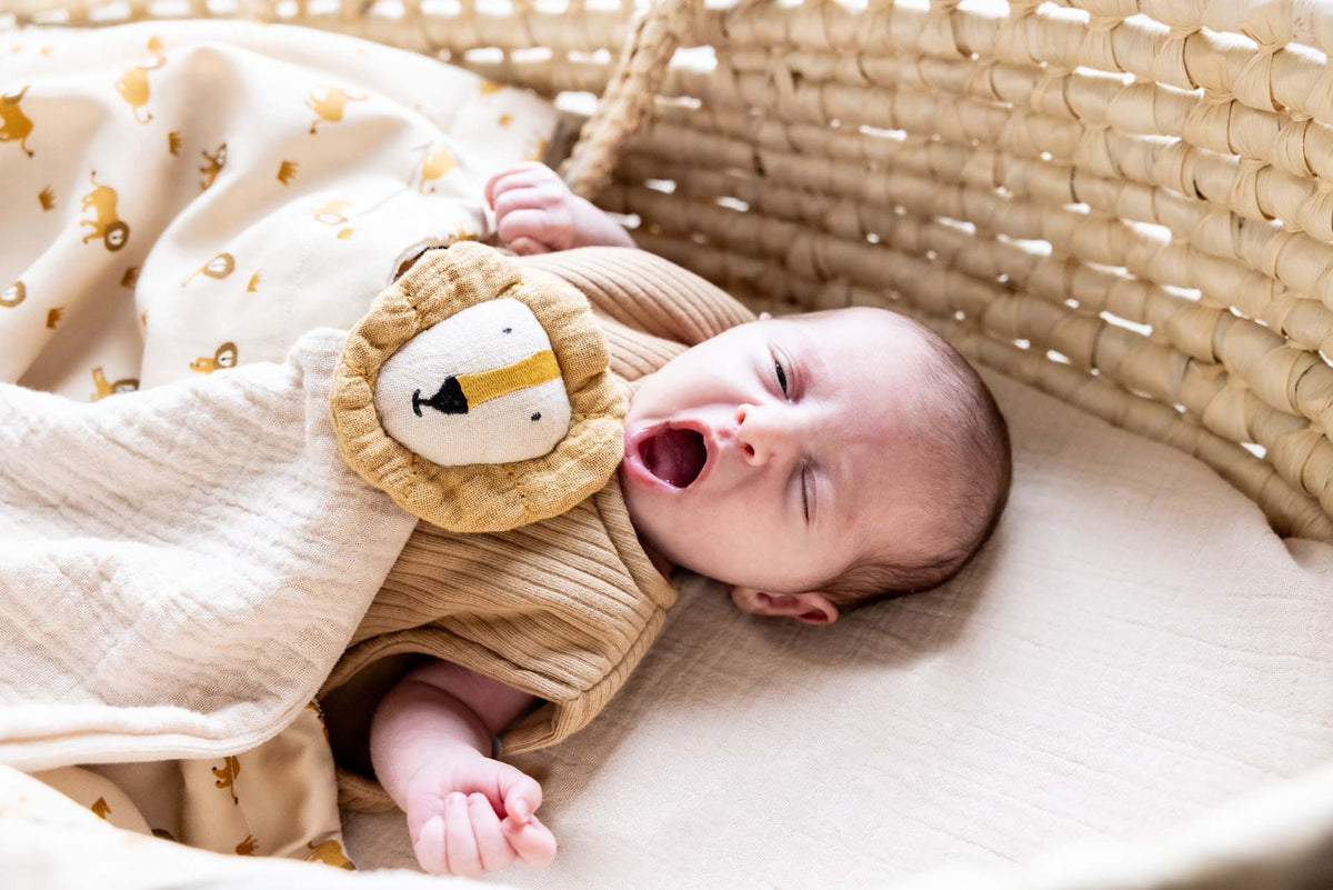 Trixie Mr. Lion comforter