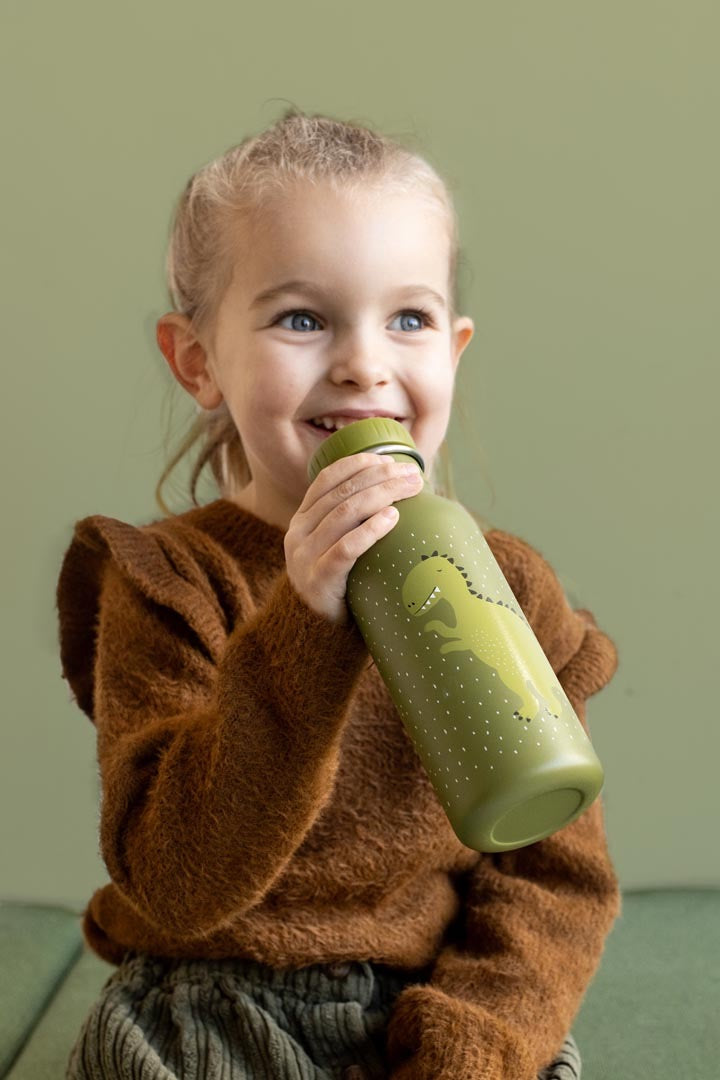 trixie 500ml bottle mr dino